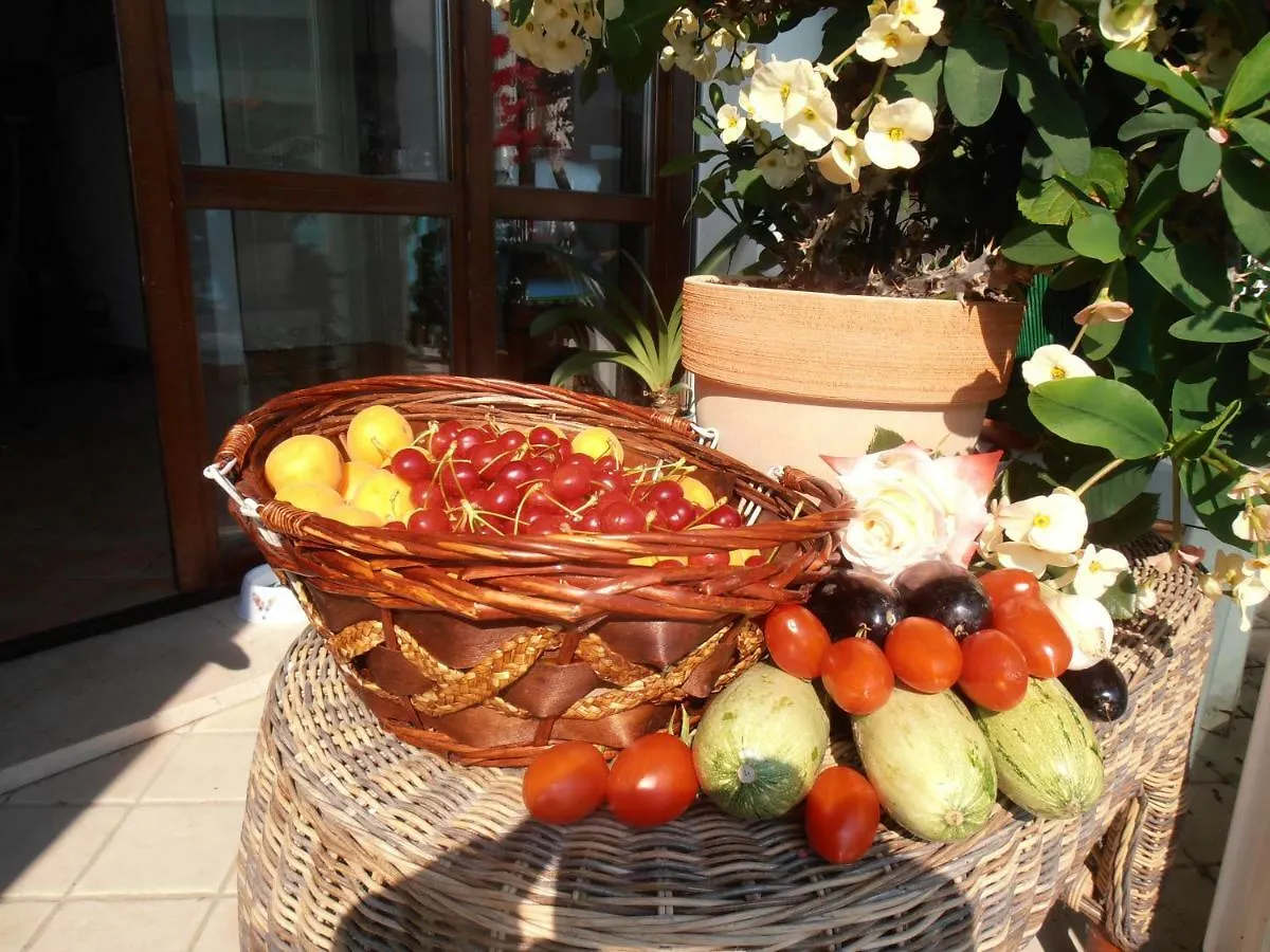 Hotel Walter Gatteo a Mare